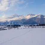 Lisl's & Gretl's Alpen - 10 Min Zur Piste 萨菲登安斯泰内嫩米尔