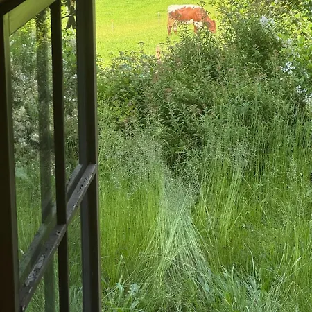 Lisl's & Gretl's Alpen - 10 Min Zur Piste Casa vacanze